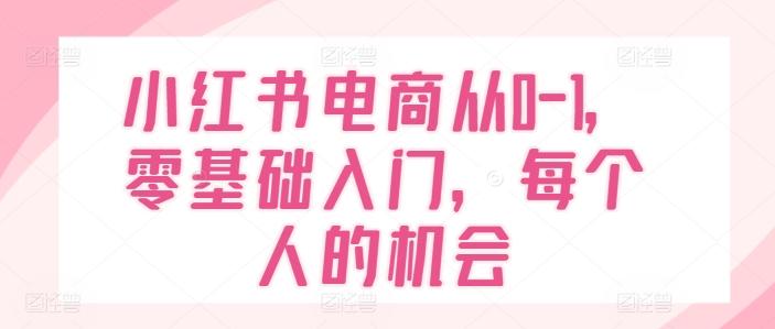 小红书电商从0-1，零基础入门，每个人的机会-大熊网创