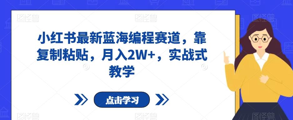 小红书最新蓝海编程赛道，靠复制粘贴，月入2W+，实战式教学【揭秘】-大熊网创
