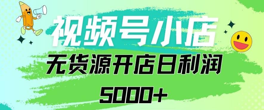 视频号无货源小店从0到1日订单量千单以上纯利润稳稳5000+【揭秘】-大熊网创