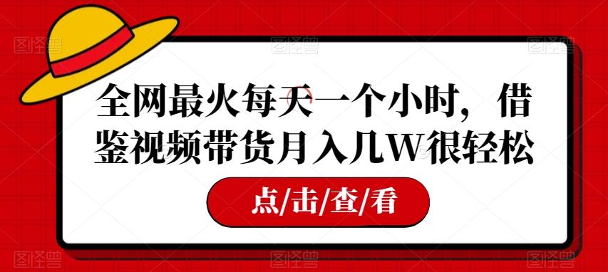 全网最火每天一个小时，借鉴视频带货月入几W很轻松【揭秘】-大熊网创