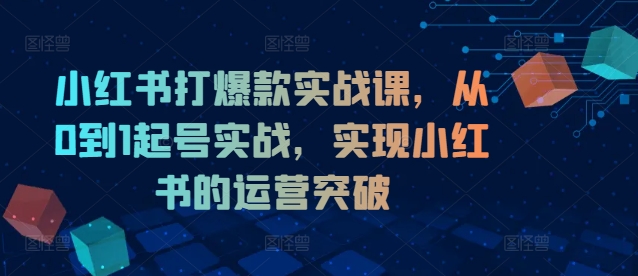 小红书打爆款实战课，从0到1起号实战，实现小红书的运营突破-大熊网创
