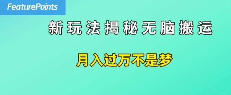 简单操作，每天50美元收入，搬运就是赚钱的秘诀【揭秘】-大熊网创