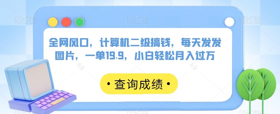 全网风口，计算机二级搞钱，每天发发图片，一单19.9，小白轻松月入过万【揭秘】-大熊网创