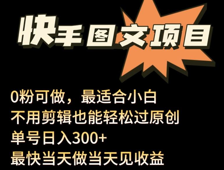 24年最新快手图文带货项目，零粉可做，不用剪辑轻松过原创单号轻松日入300+【揭秘】-大熊网创