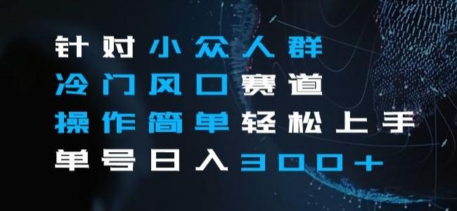 针对小众人群冷门风口赛道，操作简单轻松上手单号日入300+-网创星球