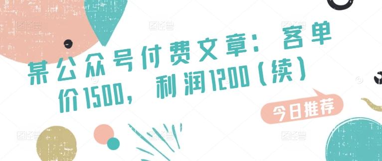 某公众号付费文章：客单价1500，利润1200(续)，市场几乎可以说是空白的-大熊网创
