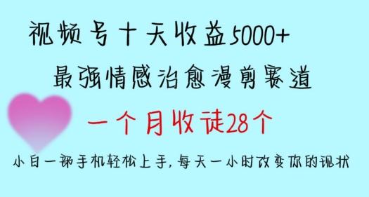 十天收益5000+，多平台捞金，视频号情感治愈漫剪，一个月收徒28个，小白一部手机轻松上手【揭秘】-网创星球