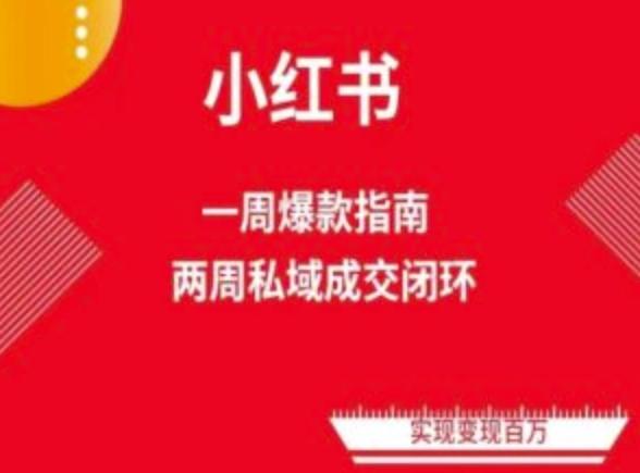 爆款小红书免费流量体系课程(两周变现)，小红书电商教程-大熊网创