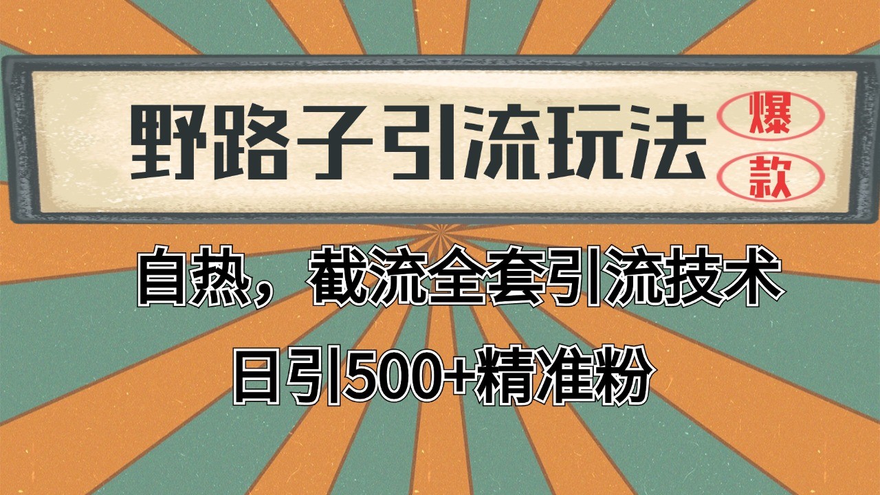 抖音小红书视频号全平台引流打法，全自动引流日引2000+精准客户-大熊网创