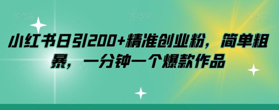 小红书日引200+精准创业粉，简单粗暴，一分钟一个爆款作品【揭秘】-大熊网创