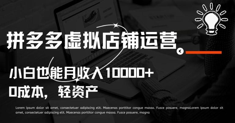 拼多多虚拟店铺运营小白也能月收入10000+【揭秘】-大熊网创
