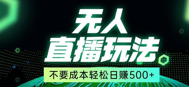 全网首发24年最新无人直播玩法，不需要成本，无需人力，一台电脑24小时为你工作-大熊网创