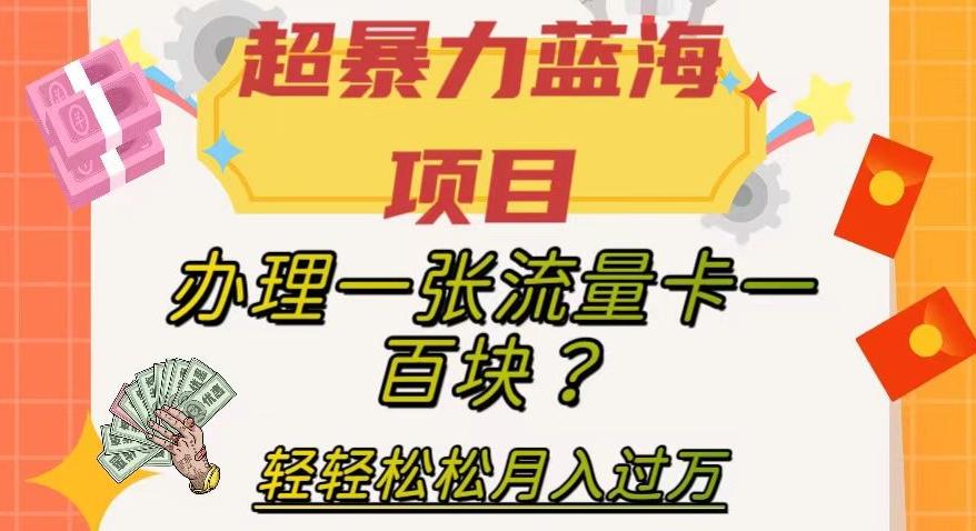 超暴力蓝海项目，办理一张流量卡一百块？轻轻松松月入过万，保姆级教程【揭秘】-大熊网创