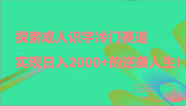 探索成人识字冷门赛道，实现日入2000+的逆袭人生！-大熊网创