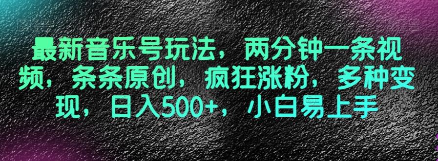 最新音乐号玩法，两分钟一条视频，条条原创，疯狂涨粉，多种变现，日入500+，小白易上手【揭秘】-大熊网创