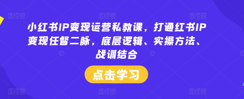 小红书IP变现运营私教课，打通红书IP变现任督二脉，底层逻辑、实操方法、战训结合-大熊网创