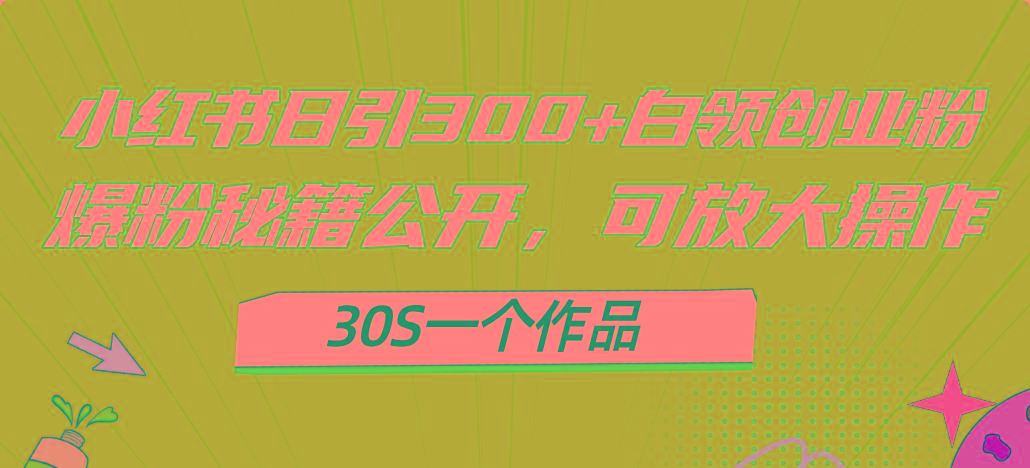 小红书日引300+高质白领创业粉，可放大操作，爆粉秘籍！30s一个作品-大熊网创