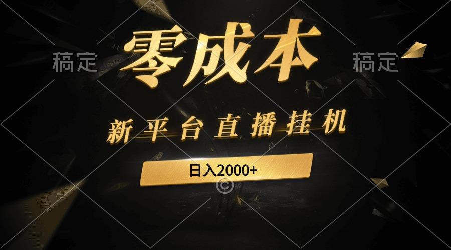 (9841期)新平台直播挂机最新玩法，0成本，不违规，日入2000+-大熊网创