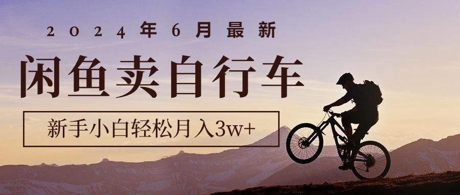 2024年6月最新闲鱼卖自行车，新手小白轻松月入3w+项目-大熊网创