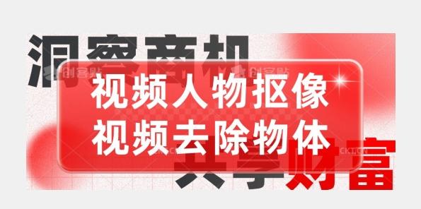 【超强视频处理工具】视频人物抠像+视频去除物体-大熊网创