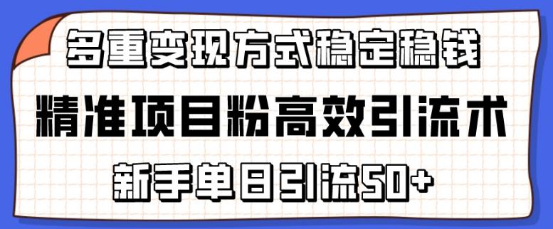 精准项目粉高效引流术，新手单日引流50+，多重变现方式稳定赚钱【揭秘】-大熊网创