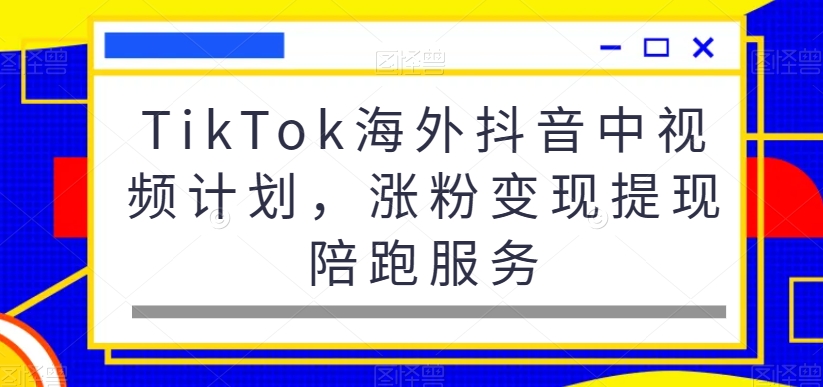 TikTok海外抖音中视频计划，涨粉变现提现陪跑服务-大熊网创