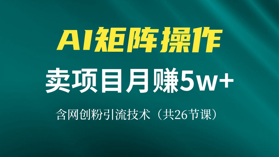 网创IP打造课，借助AI卖项目月赚5万+，含引流技术(共26节课-大熊网创