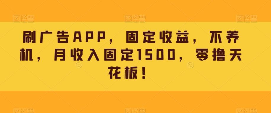 刷广告APP，固定收益，不养机，月收入固定1500，零撸天花板！-大熊网创