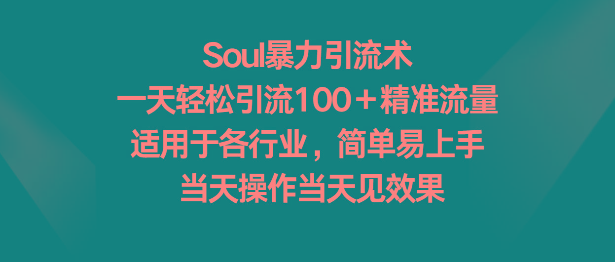Soul暴力引流术，一天轻松引流100＋精准流量，适用于各行业，简单易上手！-大熊网创