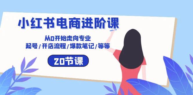 小红书电商进阶课：从0开始走向专业 起号/开店流程/爆款笔记/等等(20节-网创星球