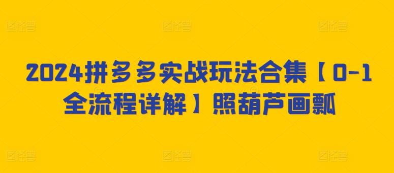 2024拼多多实战玩法合集【0-1全流程详解】照葫芦画瓢-网创星球