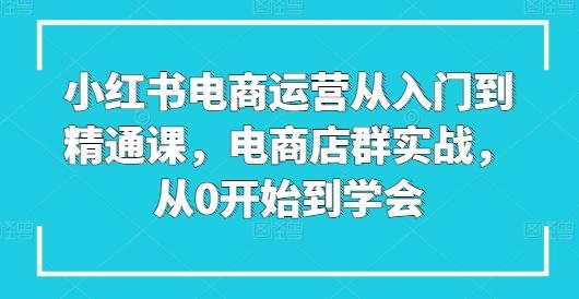 小红书电商运营从入门到精通课，电商店群实战，从0开始到学会-大熊网创