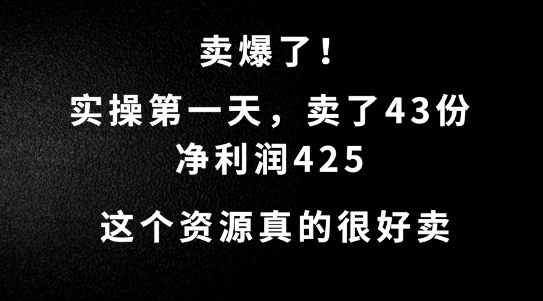 这个资源，需求很大，实操第一天卖了43份，净利润425【揭秘】-大熊网创