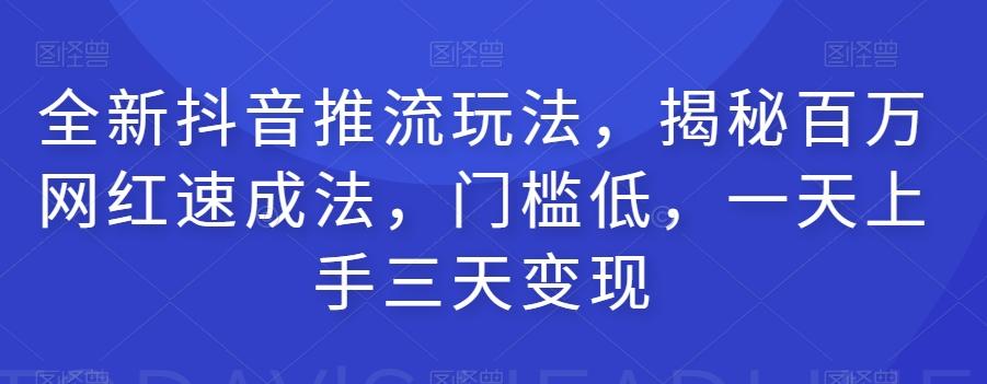 全新抖音推流玩法，揭秘百万网红速成法，门槛低，一天上手三天变现-大熊网创