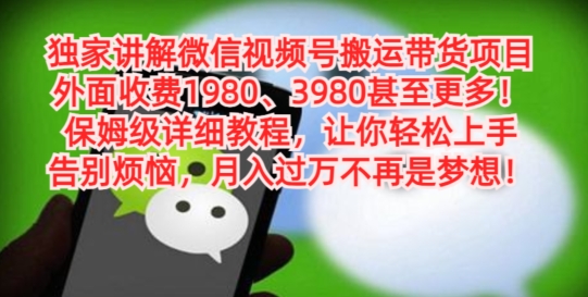 独家讲解微信视频号搬运带货项目，保姆级详细教程-大熊网创
