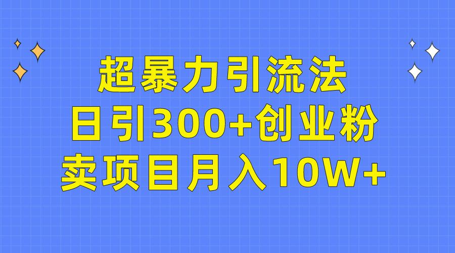 (9954期)超暴力引流法，日引300+创业粉，卖项目月入10W+-大熊网创