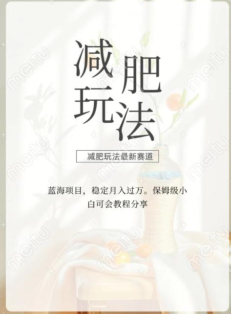 减肥流量主新玩法，轻松月入1W，可矩阵操作收入翻倍-大熊网创