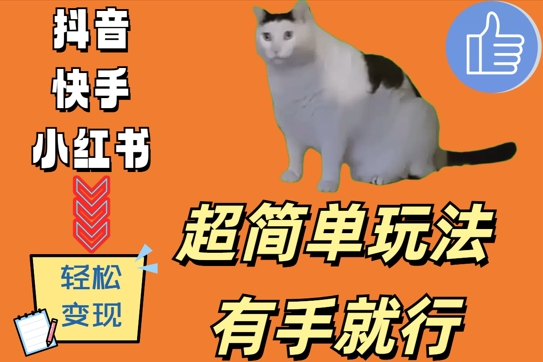 超简单玩法，有手就行，靠猫咪视频日入500+【揭秘】-网创星球