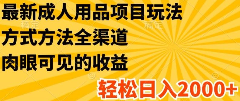 最新成人用品项目玩法，方式方法全渠道，轻松日入2K+【揭秘】-大熊网创