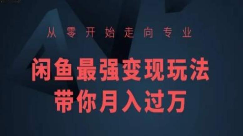 从零开始走向专业，闲鱼最强变现玩法带你月入过万-大熊网创