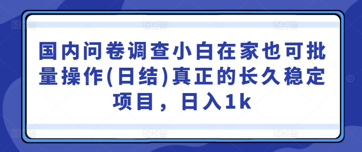 国内问卷调查小白在家也可批量操作(日结)真正的长久稳定项目，日入1k【揭秘】-大熊网创