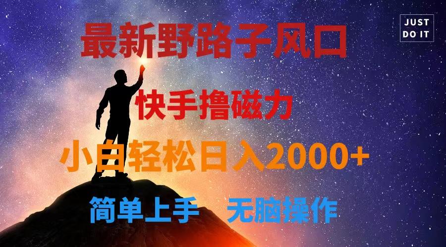 最新风口！快手撸磁力，野路子，小白无脑操作日入2000+-大熊网创