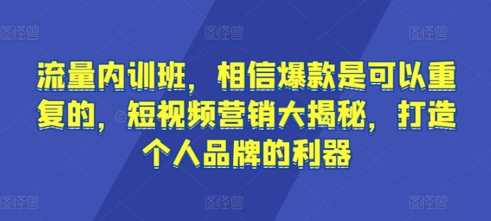 流量内训班，相信爆款是可以重复的，短视频营销大揭秘，打造个人品牌的利器-网创星球