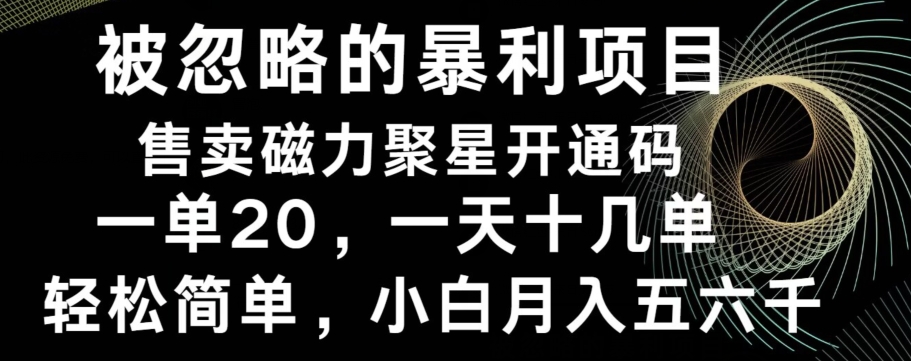 被忽略的暴利项目！售卖磁力聚星开通码，一单20，一天十几单，轻松月入五六千-大熊网创