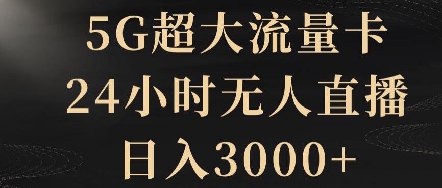 5G超大流量卡，24小时无人直播，日入3000+【揭秘】-大熊网创