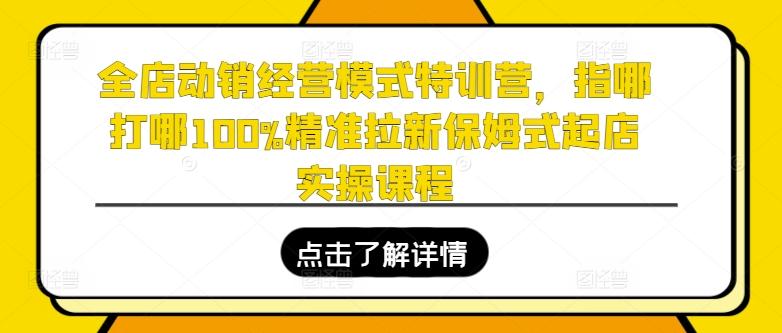全店动销经营模式特训营，指哪打哪100%精准拉新保姆式起店实操课程-大熊网创