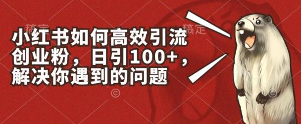 小红书如何高效引流创业粉，日引100+，解决你遇到的问题【揭秘】-大熊网创