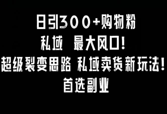 日引300+购物粉，超级裂变思路，私域卖货新玩法，小红书首选副业【揭秘】-大熊网创