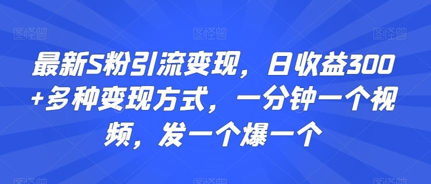 最新S粉引流变现，日收益300+多种变现方式，一分钟一个视频，发一个爆一个【揭秘】-大熊网创