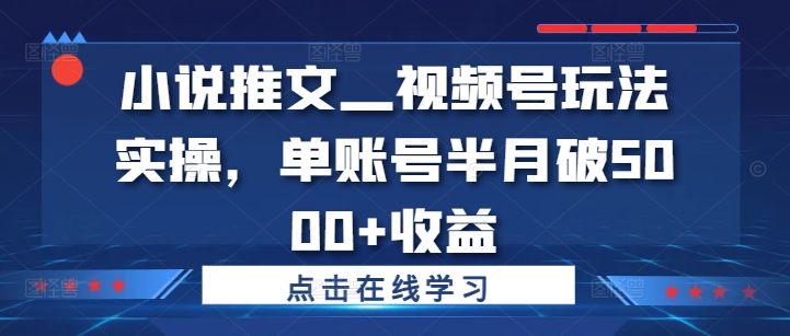 小说推文—视频号玩法实操，单账号半月破5000+收益-大熊网创